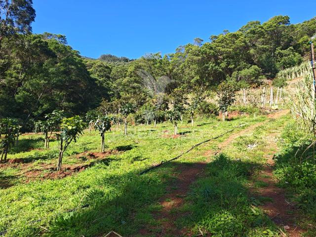 Terreno venda em Caniçal, Machico