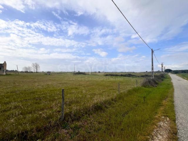 Terreno venda em Alpiarça, Santarém