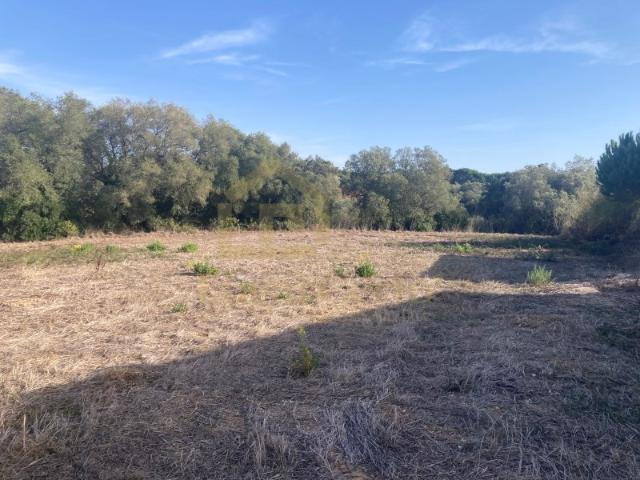 Terreno venda em Sesimbra (Castelo), Sesimbra