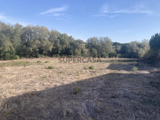 Terreno venda em Sesimbra (Castelo), Sesimbra
