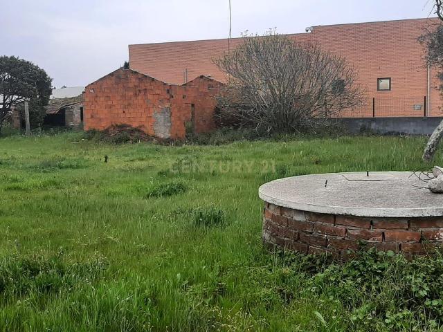 Terreno venda em Embra, Marinha Grande