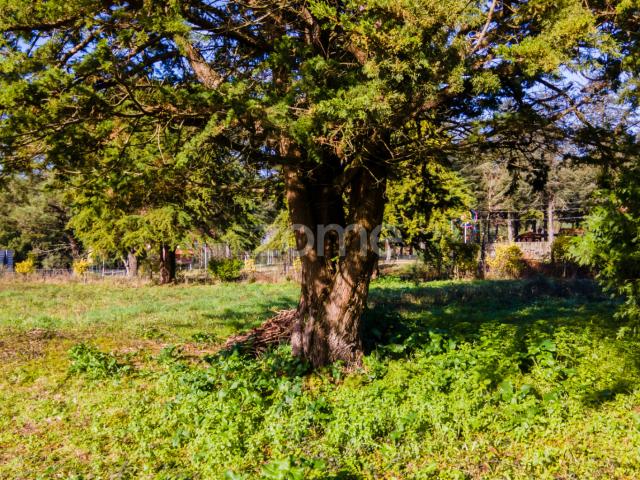 Terreno venda em Esposende, Braga