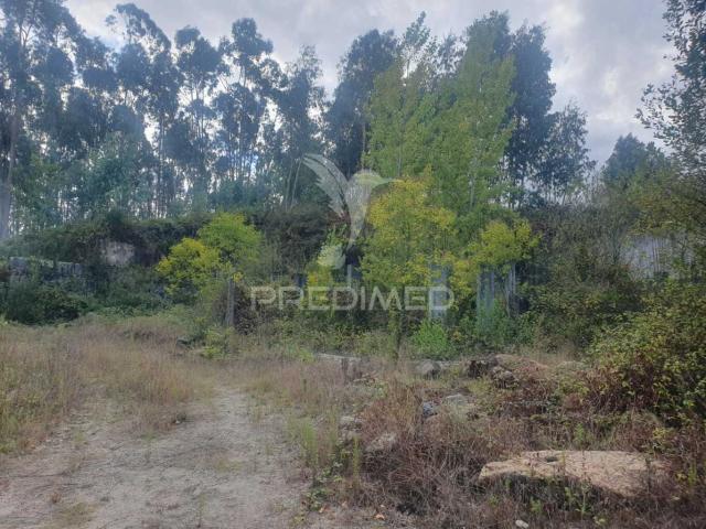 Terreno venda em Fafe, Braga