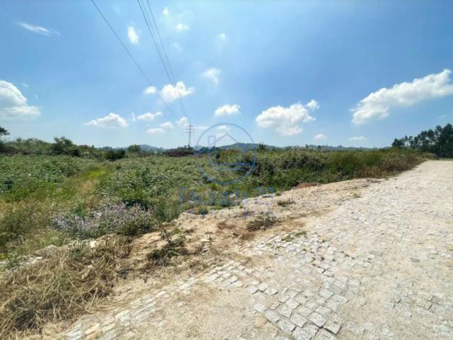 Terreno venda em Paredes, Bitarães