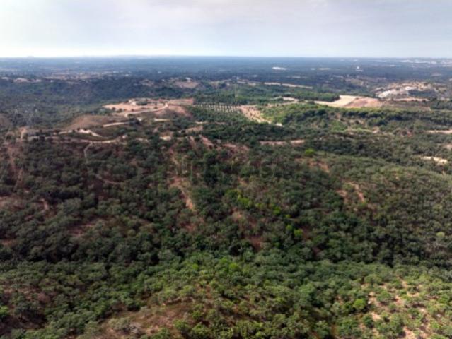 Terreno venda em Santiago Do Cacém, Setúbal