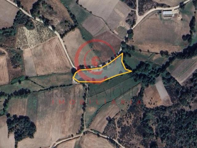 Terreno venda em Chaves, Vila Real