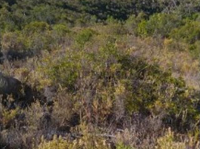 Terreno venda em Marcos Mendes, Loulé