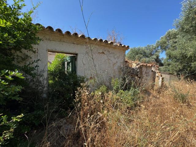 Quinta venda em Olhão, Faro