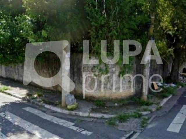 Terreno venda em São Miguel Paulista, São Paulo