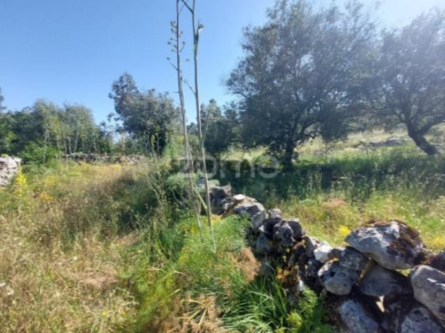 Terreno venda em Batalha, São Mamede
