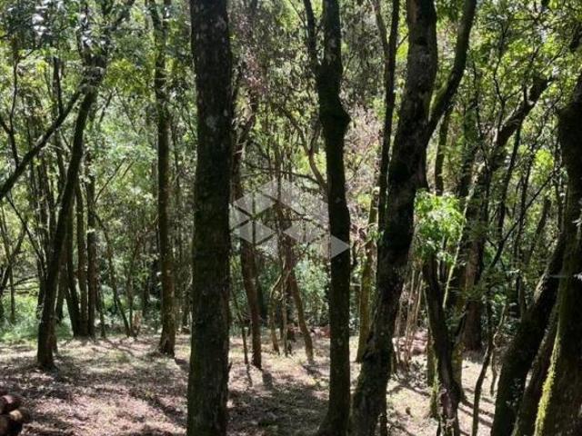 Terreno venda em Região Geográfica Imediata de Caxias do Sul, Caxias do Sul