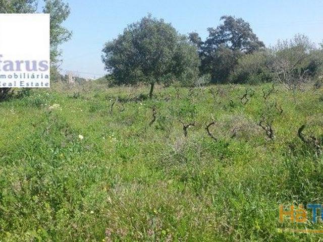 Terreno venda em Olhão, Faro
