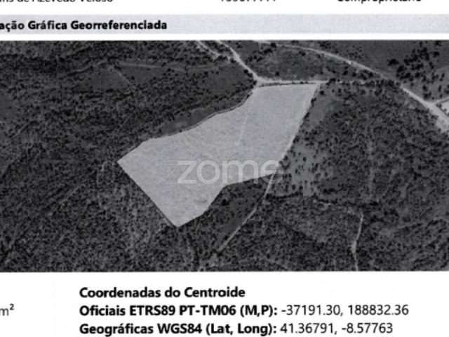 Terreno venda em Monte Alegre, Gavião