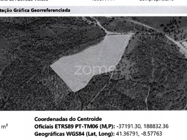 Terreno venda em Monte Alegre, Gavião