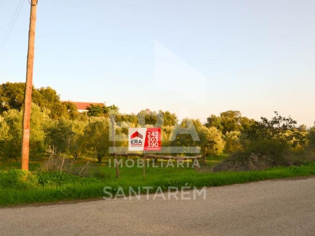 Terreno venda em Caneiras, Santarém