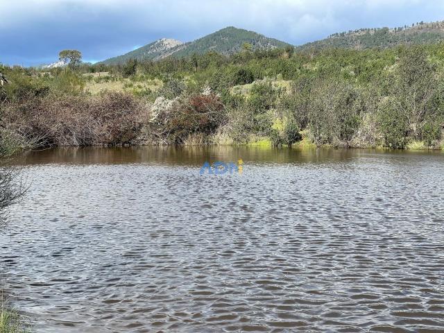 Terreno venda em Castelo Branco, Idanha-a-nova