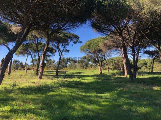 Terreno venda em Sesimbra (Castelo), Sesimbra
