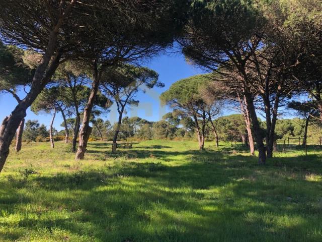 Terreno venda em Sesimbra (Castelo), Sesimbra