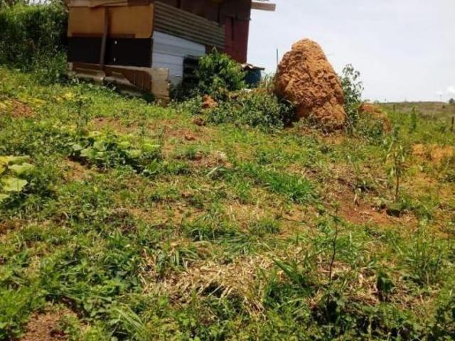 Terreno venda em Região Geográfica Imediata de Juiz de Fora, Juiz de Fora