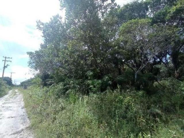 Terreno venda em Região Imediata de Santos, Região Metropolitana da Baixada Santista