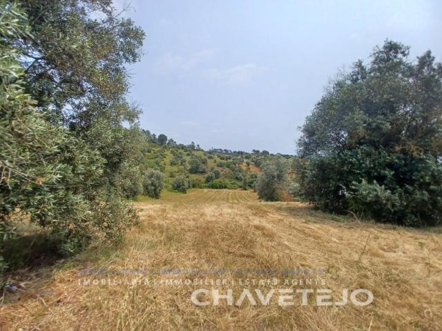 Terreno venda em Madalena e Beselga, Tomar