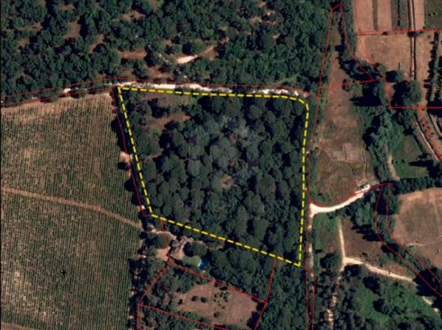 Terreno venda em Azeitão (São Lourenço e São Simão), Setúbal