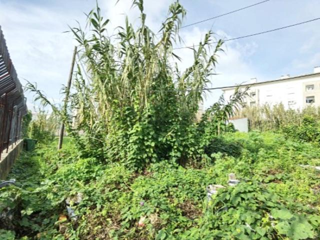 Terreno venda em Ajuda, Lisboa