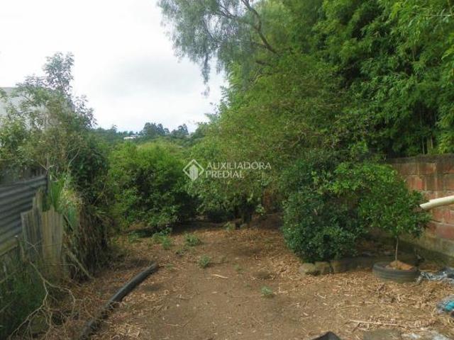 Terreno venda em Campo Novo, Porto Alegre