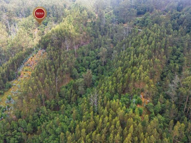 Terreno venda em Lajinhas, Funchal