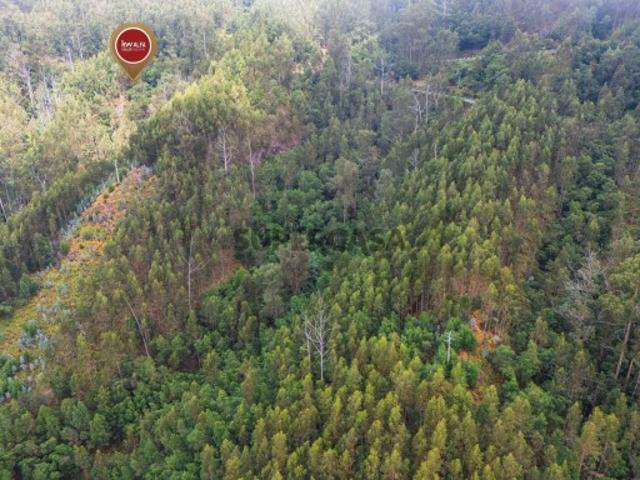 Terreno venda em Terreiro da Luta, Funchal