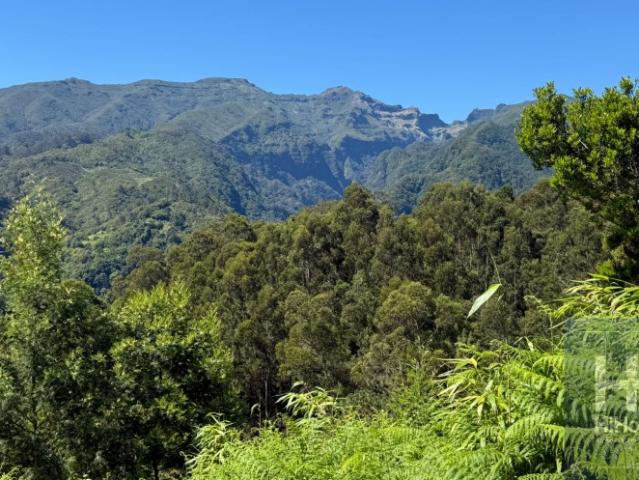 Terreno venda em Santana, Ilha Da Madeira