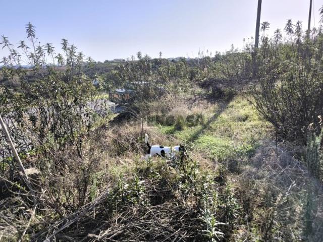Terreno venda em Corte do Gago, Castro Marim