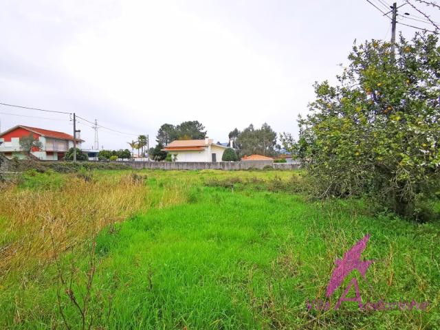 Terreno venda em Viana Do Castelo