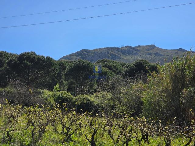 Terreno venda em Cadaval, Lisboa