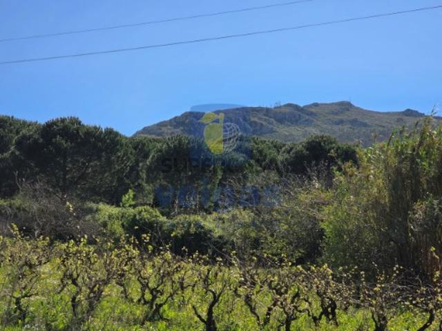Terreno venda em Cadaval, Lisboa