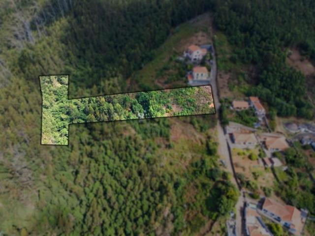 Terreno venda em Lajinhas, Funchal