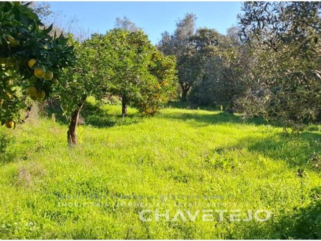 Terreno venda em Tomar, Santarém