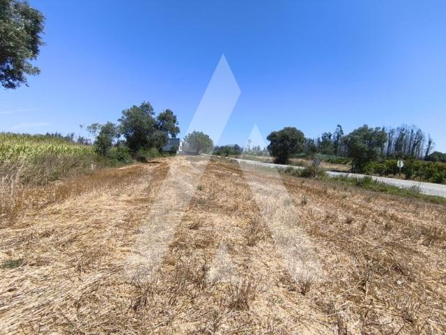 Terreno venda em Assilhó, Albergaria-a-velha