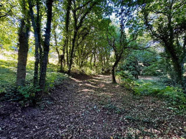 Terreno venda em Marecos, Porto
