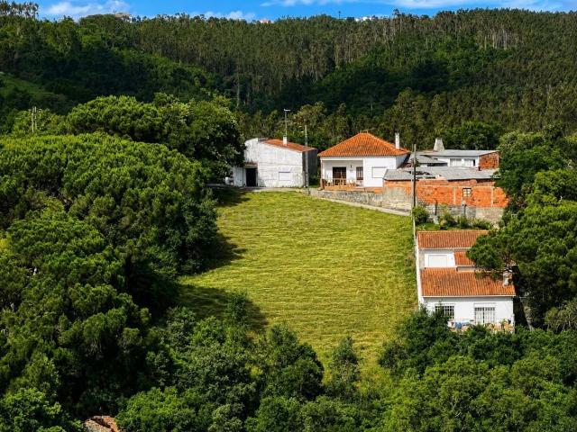 Terreno venda em Alcobaça, Leiria