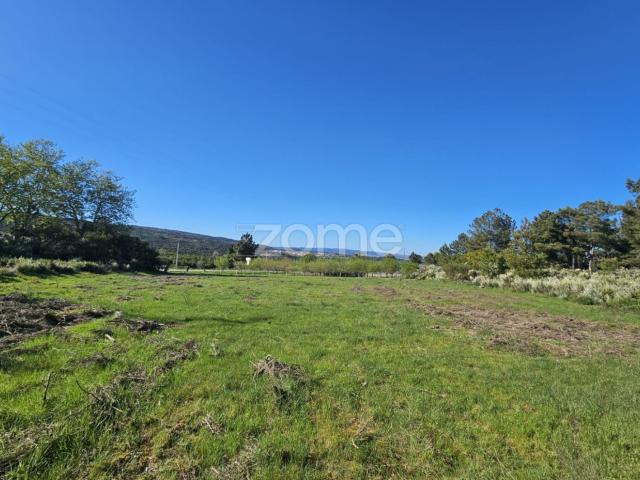Terreno venda em Fiolhoso, Vila Real