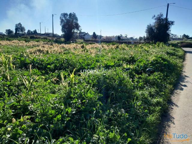 Terreno venda em Aveiro