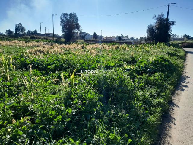 Terreno venda em Mamodeiro, Aveiro