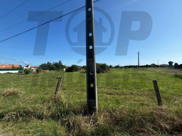 Terreno venda em Salvaterra De Magos, Santarém