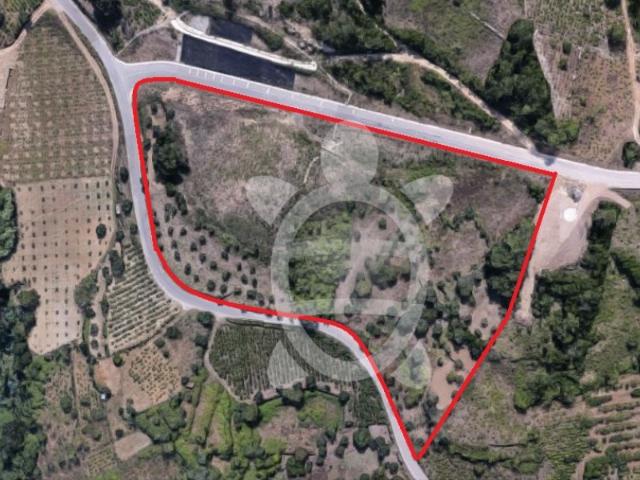 Terreno venda em Coimbrã, Almalaguês