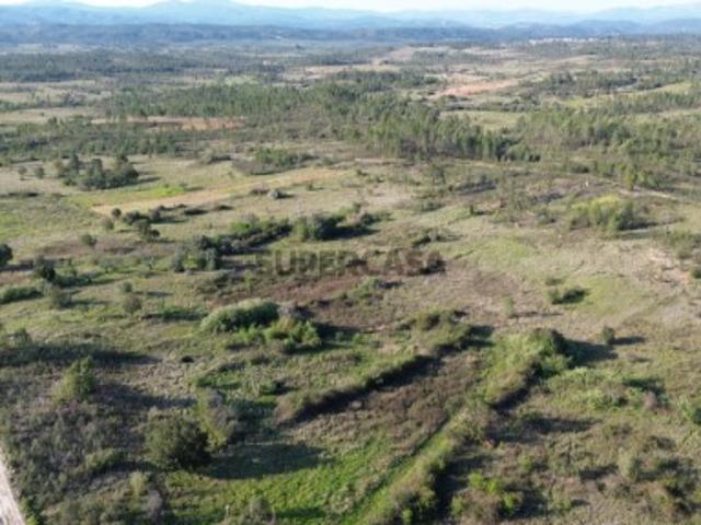 Terreno venda em Castelo Branco