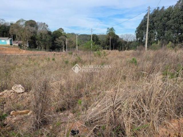 Terreno venda em Região Geográfica Imediata de Caxias do Sul, Caxias do Sul