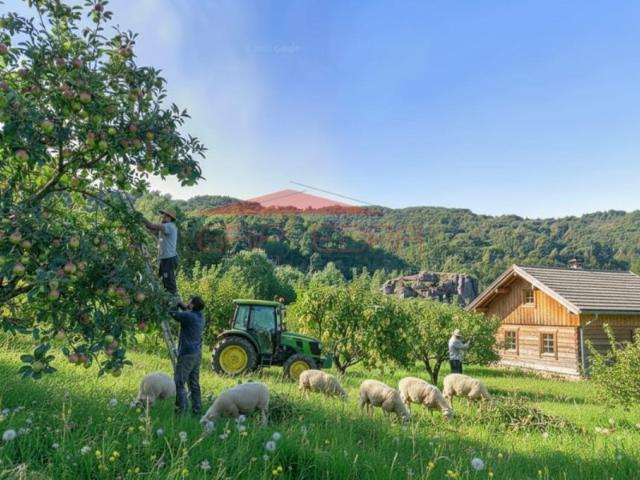 Terreno venda em Fornelos, Viseu