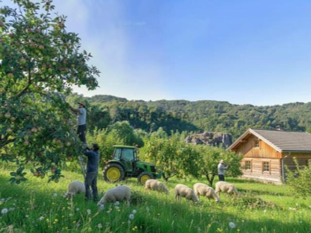 Terreno venda em Fornelos, Viseu