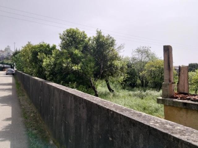 Terreno venda em Albergaria-a-velha, Aveiro